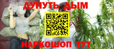 ALPHA PVP Гай
