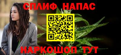 спиды Гатчина