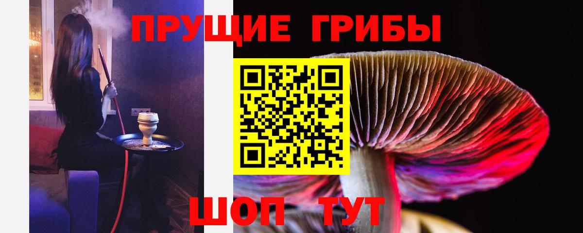 Псилоцибиновые грибы прущие грибы Белогорск